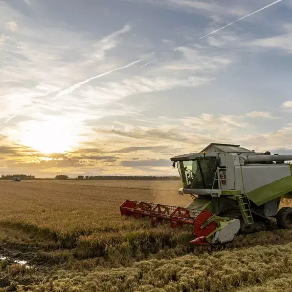 Farming field with harvester